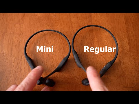Mini vs. Standard: Choosing the Right Size for Your Needs