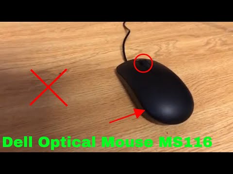 Detailed Overview of Dell Optical Mouse MS116 Features