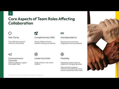 How User Roles Impact Collaboration and Productivity