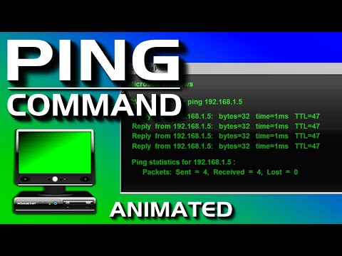 Exploring the Role of Ping in Network Security Measures