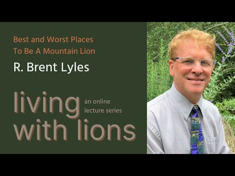 Understanding Mountain Lion Behavior in Urban Areas