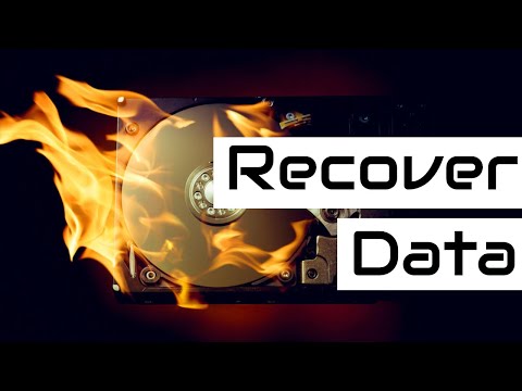 Using PhotoRec for Effective Data Recovery Solutions