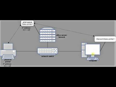 Set Up LAN Print Server for Networked Printing Solutions