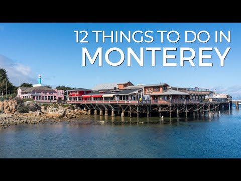 The Best Outdoor Activities in Monterey for Adventure Seekers