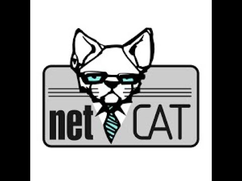 Netcat for Penetration Testing: Best Practices and Tips