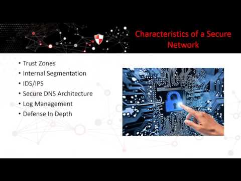 Best Practices for Implementing Network Protocols in Business