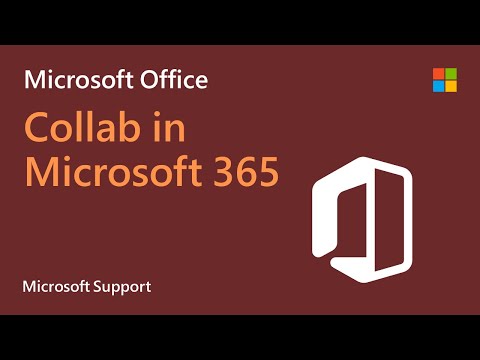 Best Practices for Collaborating with Office 365 Tools