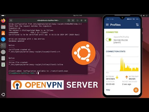 Install OpenVPN Server on Ubuntu for Secure Remote Access