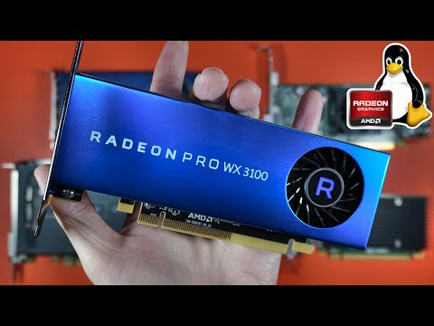 Overview of Radeon Pro WX 3100 Graphics Card Features