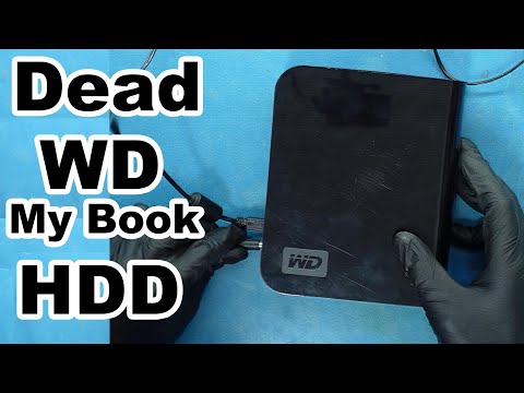 Troubleshooting Common Issues with My Book Drives
