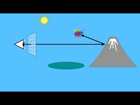 Raytracing in Animation: Techniques and Challenges