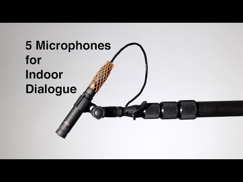 Using a Supercardioid Microphone for Professional Audio Recording