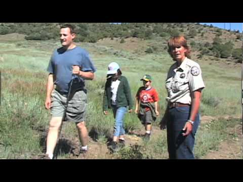 How to Safely Coexist with Mountain Lions in Your Area