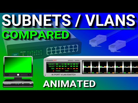 Understanding VLANs: How They Work with Network Switches