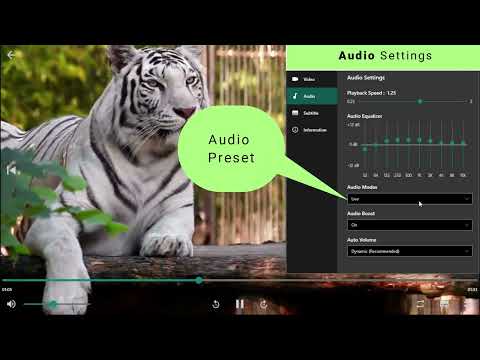Enhancing Playback Experience with Audio Settings