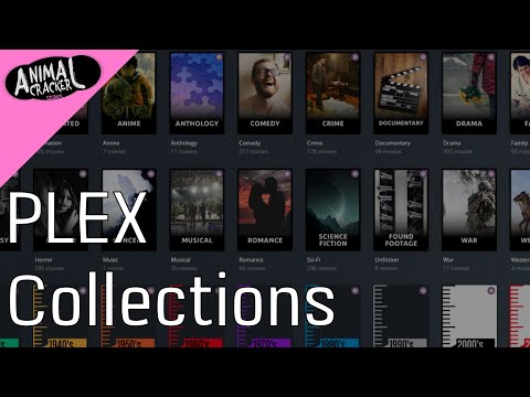 Managing Plex Server Libraries for Efficient Media Organization