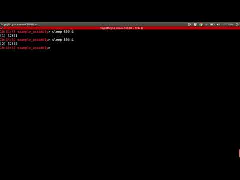 Using Nohup for Remote Server Management: A Practical Approach