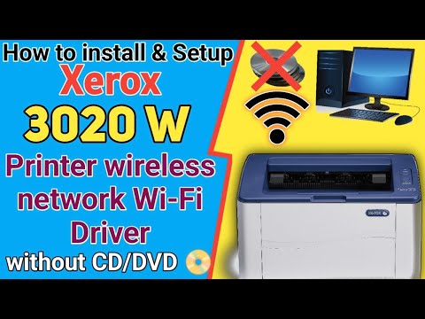 Understanding Phaser 3020 Printer Connectivity Options