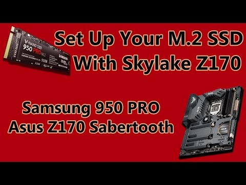 Configuring Sabertooth Z170 Mark 1 Motherboard for Best Performance