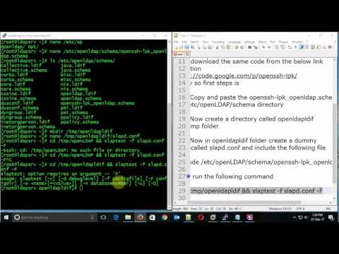 Understanding OpenLDAP Schema Design for Custom Needs