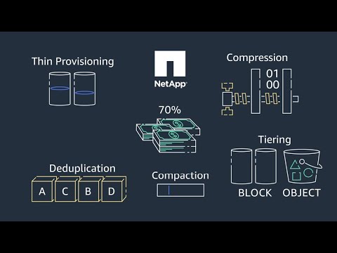 Understanding NetApp Performance Metrics for Better Management