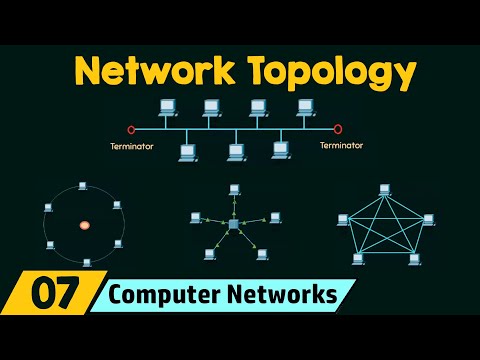 Understanding the Importance of Network Topology in Design