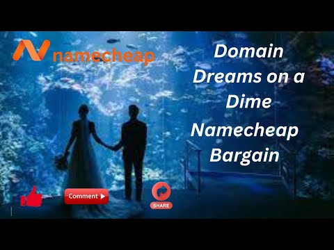 Exploring Namecheap's Hosting Plans for Small Businesses