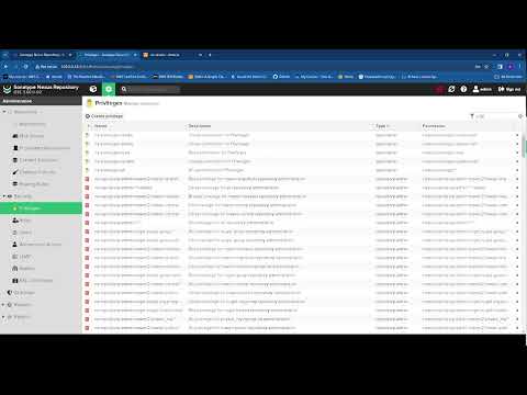 Understanding Nexus Repository Security Best Practices